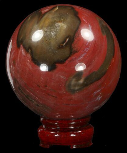 Colorful Petrified Wood Sphere #41946